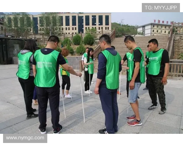 深度解析Meiko辅助战术价值及其在团队协作中关键作用 深度解析Meiko辅助战术价值及其在团队协作中关键作用