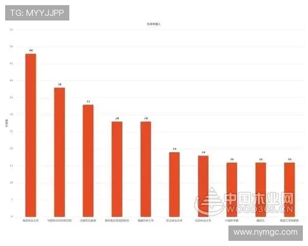 聚焦当代篮球运动员成长之路与竞技魅力全面发展趋势深度解析研究
