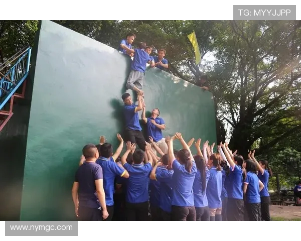 攀岩女神赵芳揭秘成功秘诀与训练心得分享