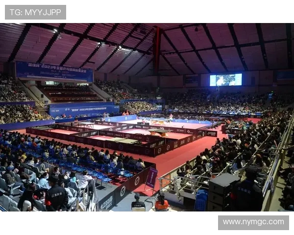 杭州乒乓球队节奏创新高引发全国关注助力乒乓球发展新篇章