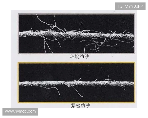 独家解析IG战术对比及其在比赛中的实际应用效果 独家解析IG战术对比及其在比赛中的实际应用效果
